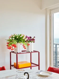 Arcs Trolley High serving trolley, Auburn red