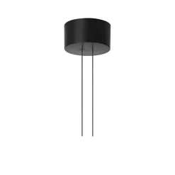 Arrangement Rose ceiling cup, Black, big
