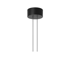 Arrangement Rose ceiling cup, Black, small
