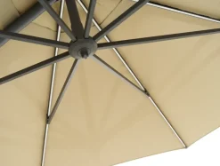 Cilento parasol, Light grey-khaki