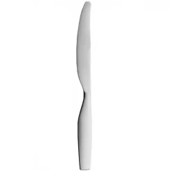 Citterio 98 dinner knife, matte stainless steel
