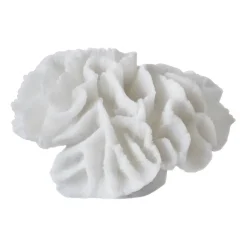 Coral gills, White