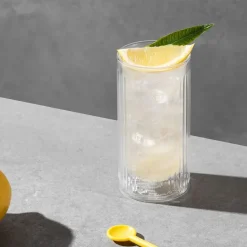 Douro Bar double walled gin glass 30 cl 2-pack, Clear