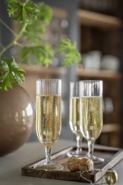 Ernst champagne glass ribbed 2-pack, Clear