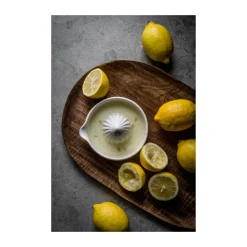 Ernst citrus press stoneware, White