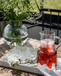 Ernst jug 2.3 l, Clear