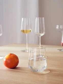 Essence champagne glass 2-pack, clear 2-pack