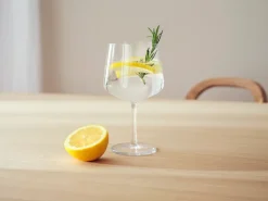 Essence gin & cocktail glass 2-pack, 63 cl