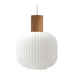 Fair pendant lamp Ø20cm, Frosted glass-ash