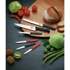 Fibrox knife 22 cm, Stainless steel