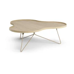 Flower mono table 107x114 cm, H39 Oak lacquered-nutmeg RAL1019