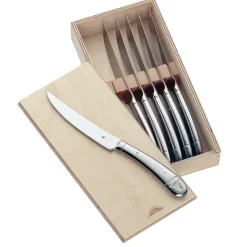 Geschenkidee steak knife 6 pieces, Stainless steel