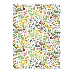 Hedemora oilcloth, Multi