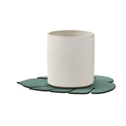 Monstera Leaf Hippo coaster, Pastel green