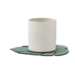 Monstera Leaf Nupo coaster, Pastel green