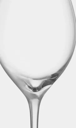 More Champagne Boule champagne glasses 31 cl 4-pack, Clear