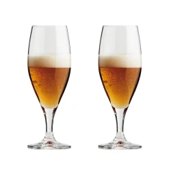 Passion connoisseur beer glass 40 cl 2-pack, Clear