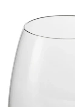 Premium beer glass 60 cl 2 pack, Clear