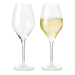 Premium Champagne glass 37 cl 2-pack, Clear
