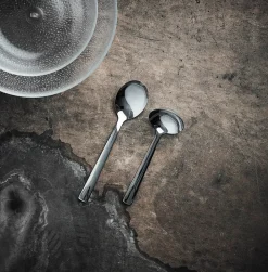 Raw serving spoon and ladle, Polished stainless steel