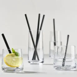 Rocks lowball glass 2-pack, 22 cl