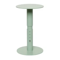 Rolling household paper towel holder 25 cm, Green