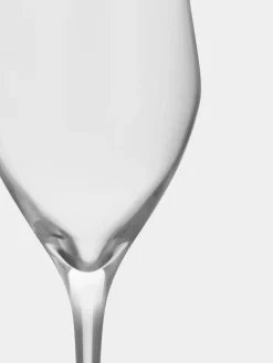 Sense champagne glass 25.5 cl 6-pack, Clear