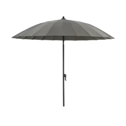 Shanghai parasol, Grey-lemon