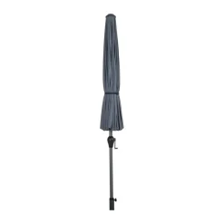 Shanghai parasol, Grey-lemon