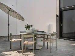 Shanghai parasol, Grey-lemon