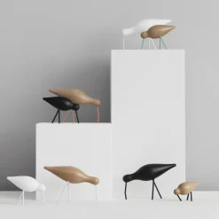 Shorebird black, medium