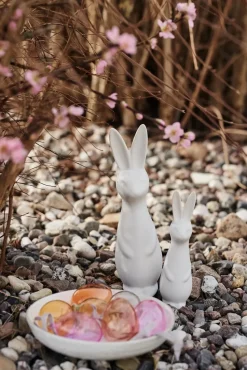 Swedish rabbit large, white