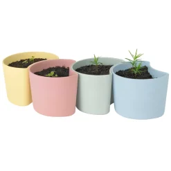 YOUR TREE pot with seeds, Green (Pine)